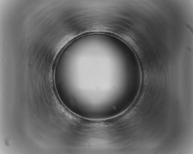 X0000103240990200808281437