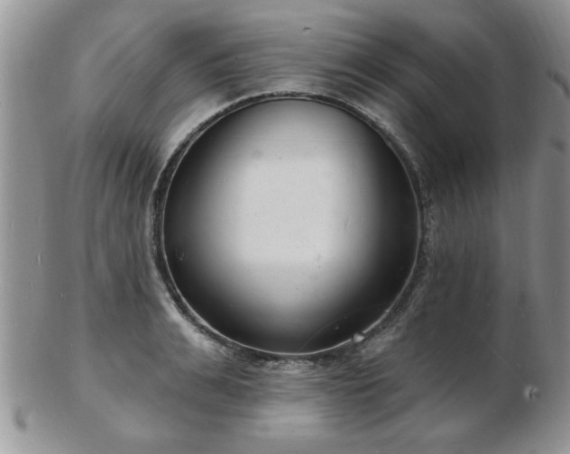 X0000103240991200808281437