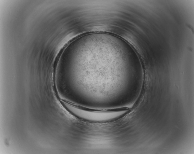 X0000103240992200808281437