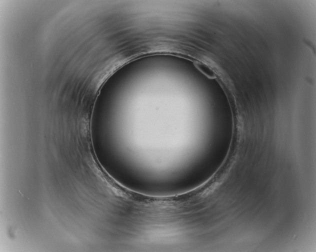 X0000103240993200808281437