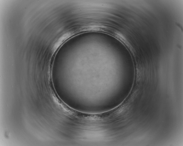 X0000103240994200808281437