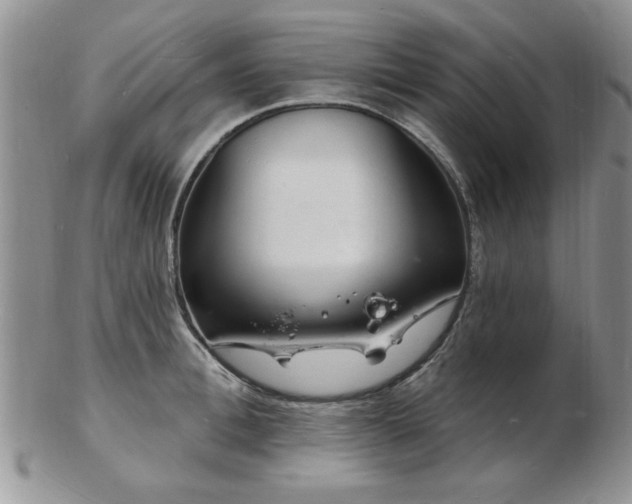 X0000103240996200808281437