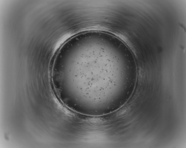 X0000103240998200808281437