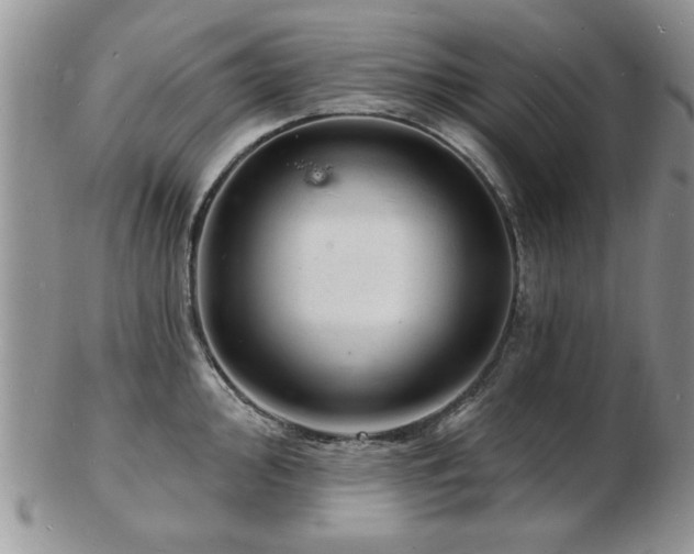 X0000103241000200808281437
