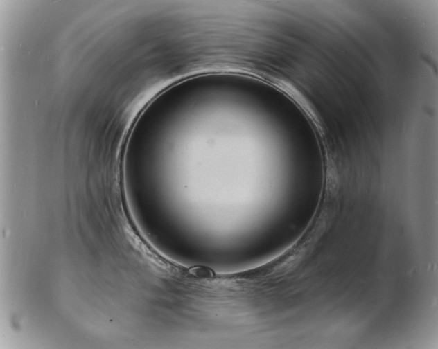 X0000103241004200808281437