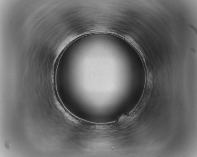 X0000103241005200808281437