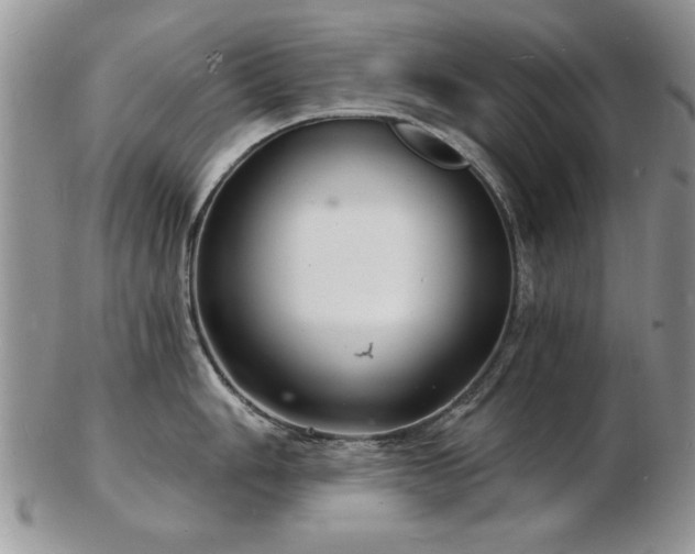 X0000103241006200808281437