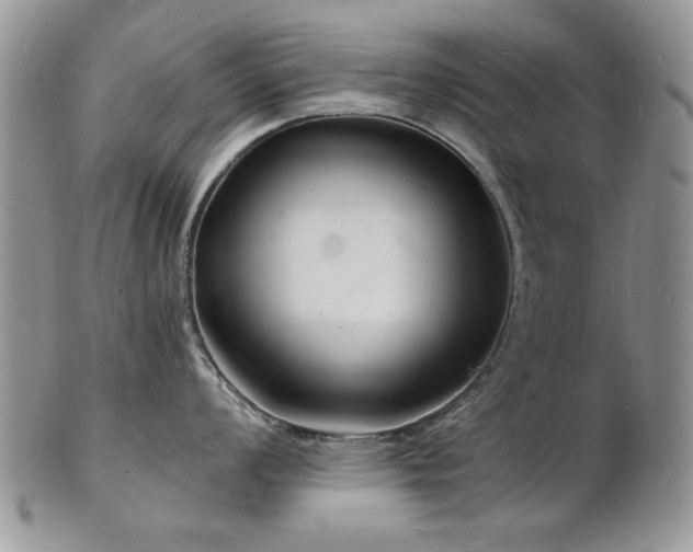 X0000103241008200808281437
