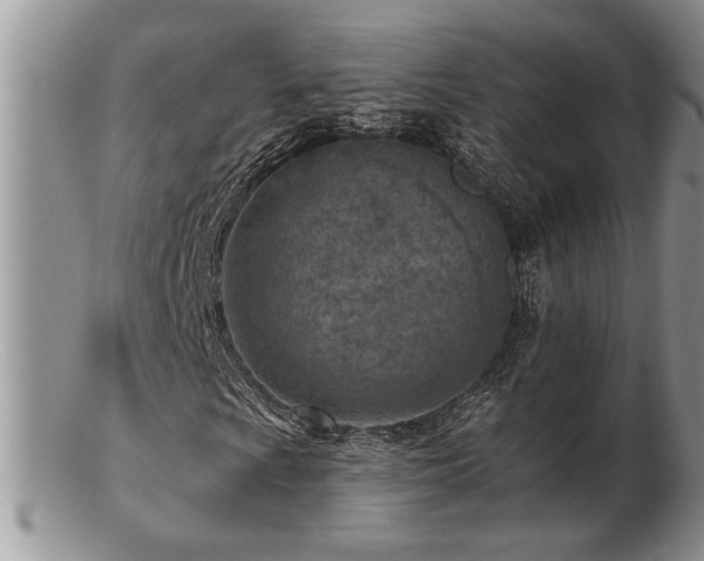 X0000103241009200808281436