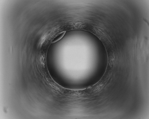 X0000103241010200808281436
