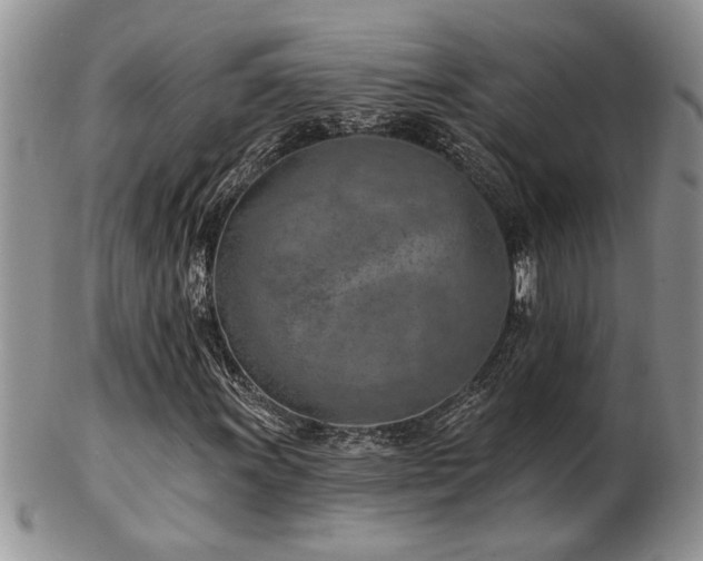 X0000103241011200808281436