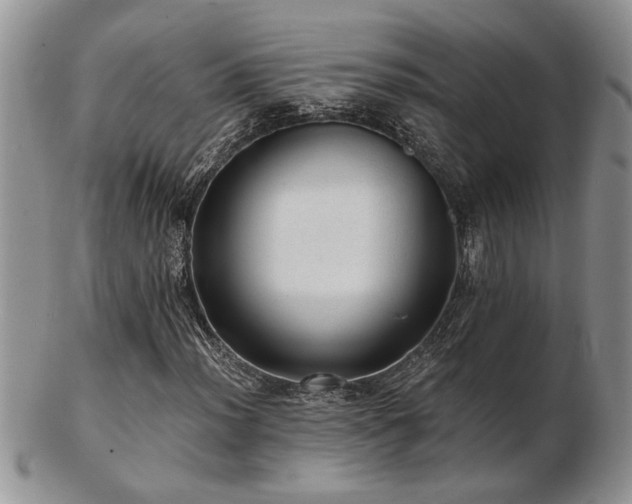 X0000103241012200808281436