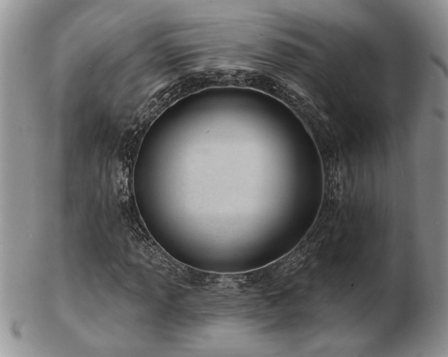 X0000103241013200808281436