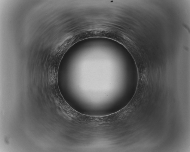 X0000103241014200808281436