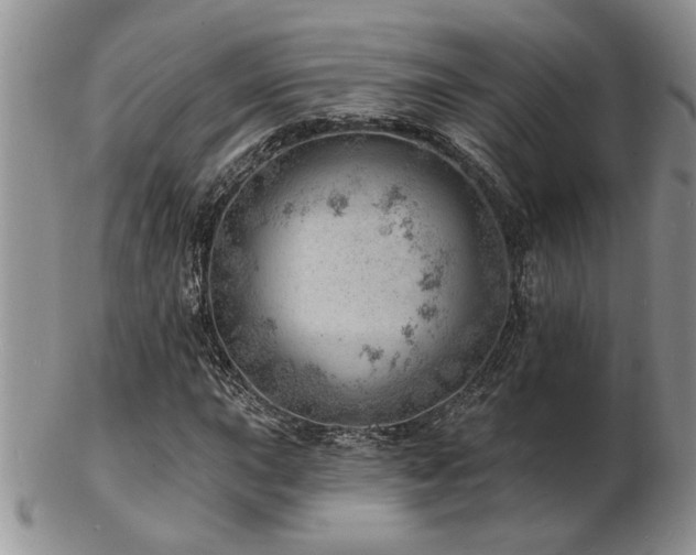 X0000103241015200808281436