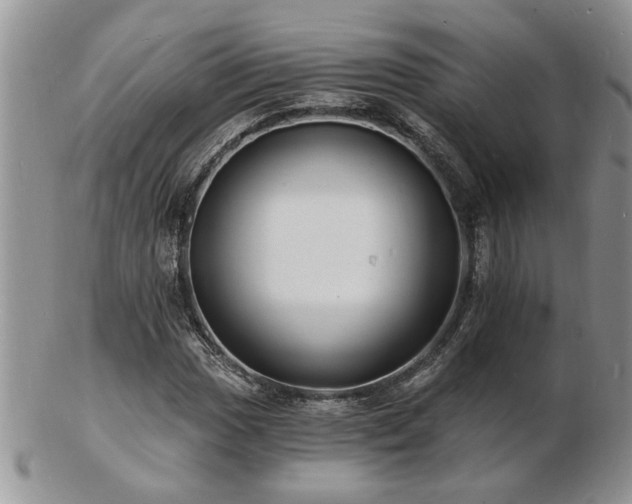 X0000103241017200808281436