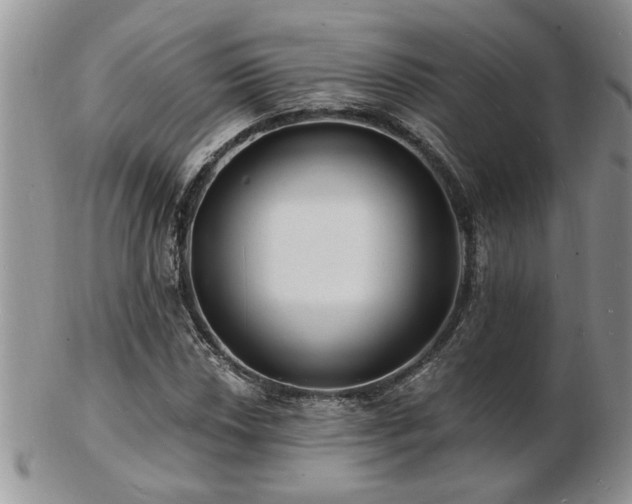 X0000103241018200808281436