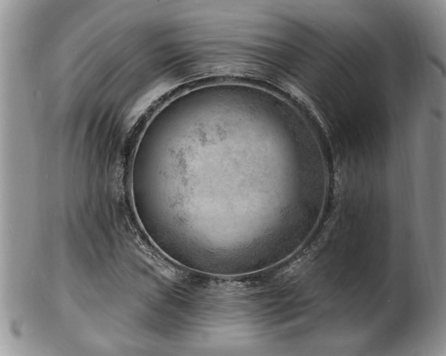X0000103241019200808281436