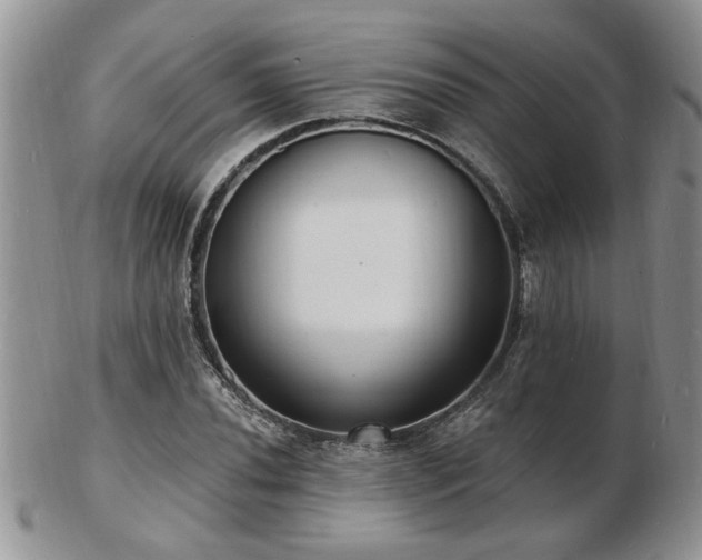 X0000103241020200808281436