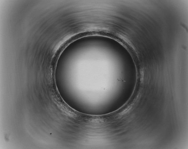 X0000103241021200808281436