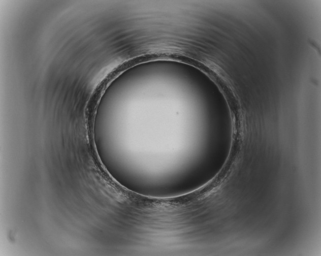 X0000103241022200808281436