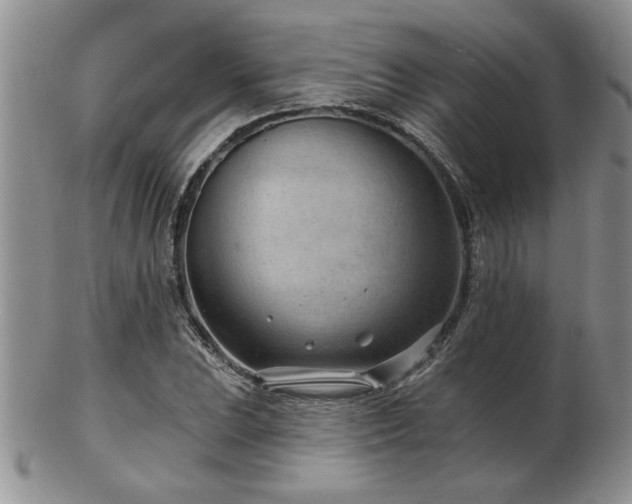 X0000103241023200808281436