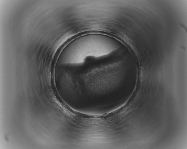 X0000103241024200808281436