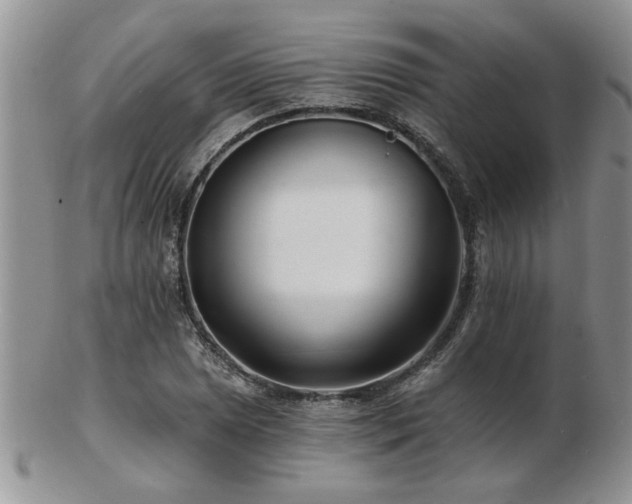 X0000103241025200808281436