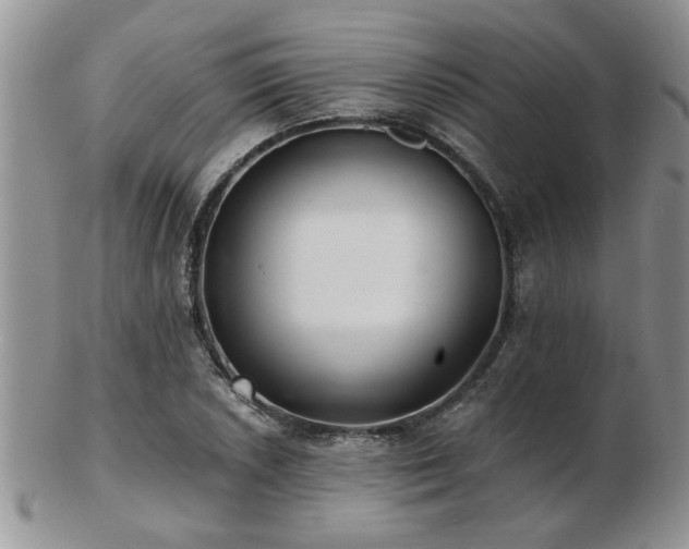 X0000103241026200808281436