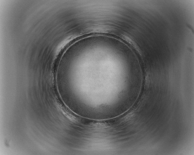 X0000103241027200808281436