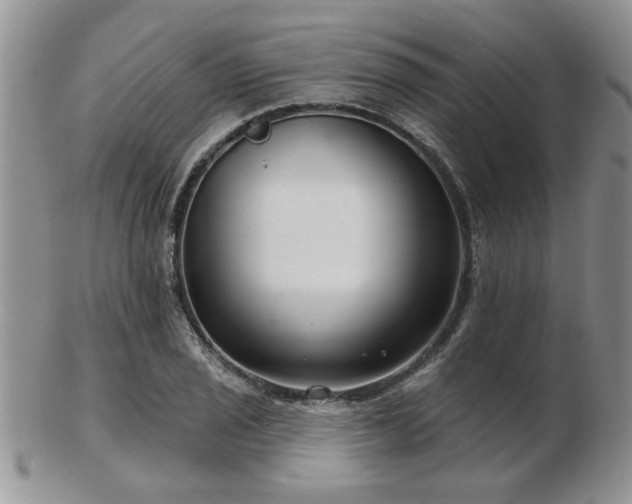 X0000103241029200808281436