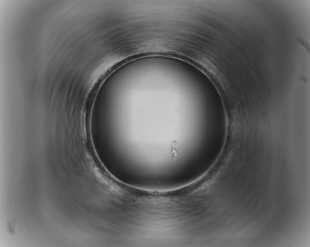 X0000103241030200808281436