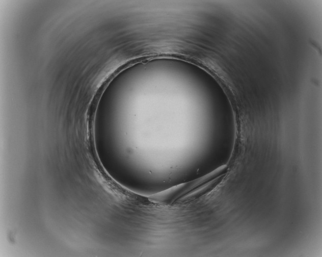X0000103241031200808281436