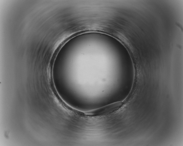 X0000103241032200808281436