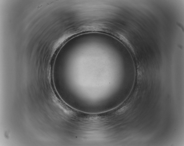 X0000103241035200808281436