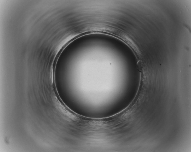 X0000103241036200808281436