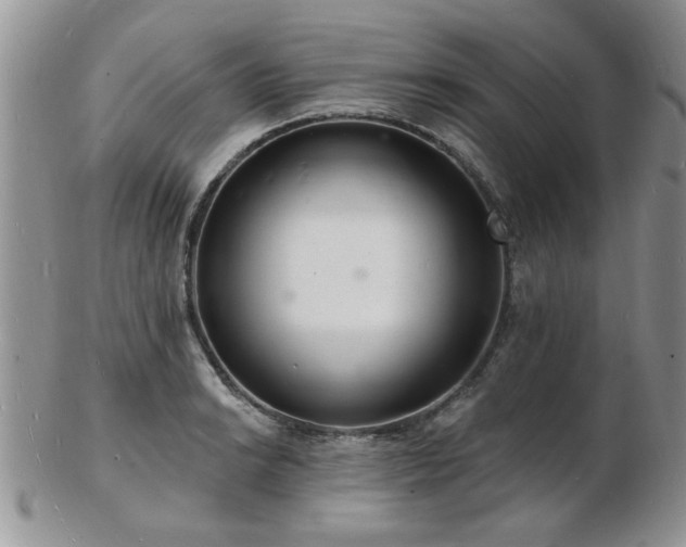 X0000103241038200808281436