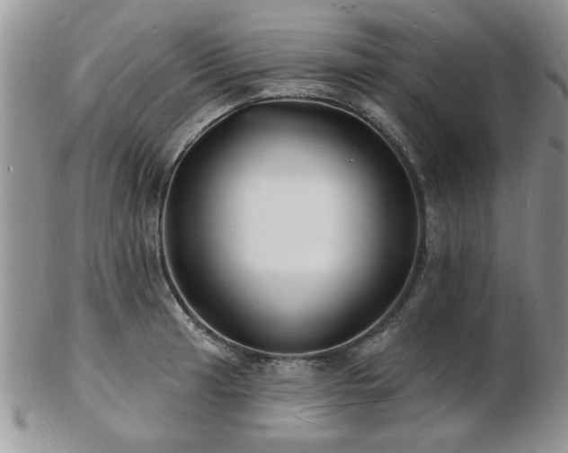 X0000103241041200808281436