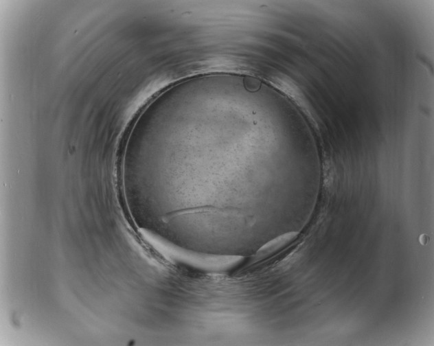 X0000103241043200808281436