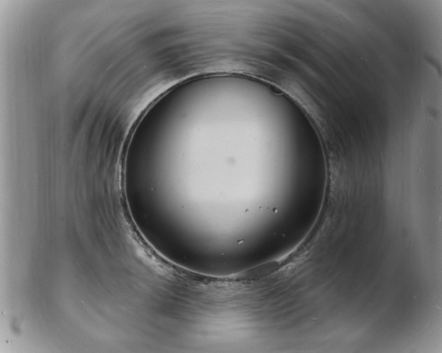 X0000103241044200808281436