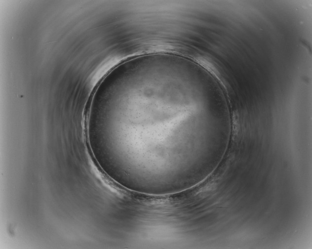 X0000103241047200808281436