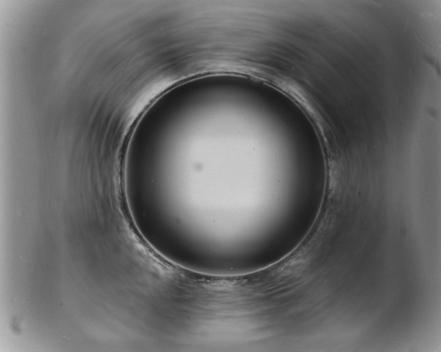 X0000103241048200808281436