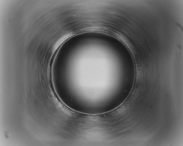 X0000103241050200808281436
