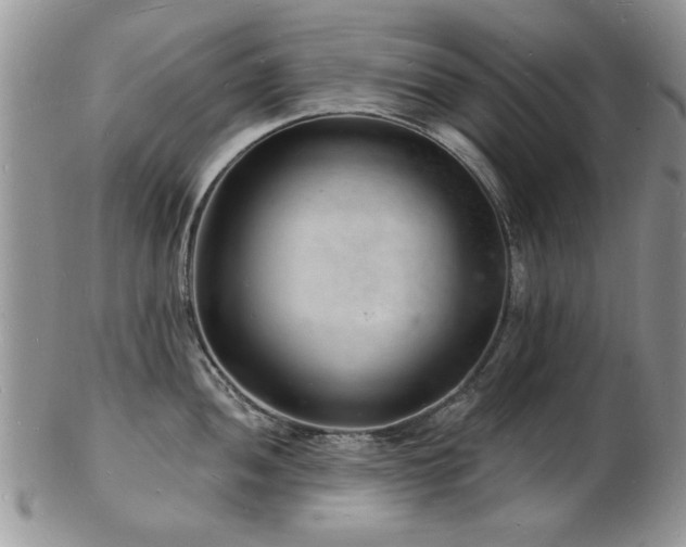 X0000103241052200808281436