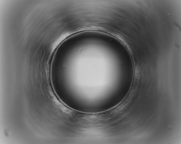 X0000103241054200808281436
