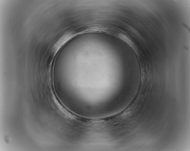 X0000103241055200808281436