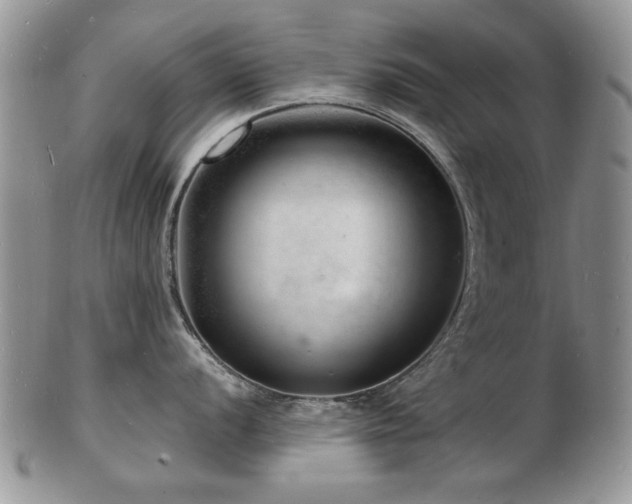 X0000103241056200808281437