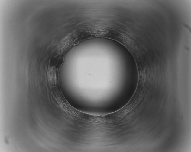X0000103241058200808281436
