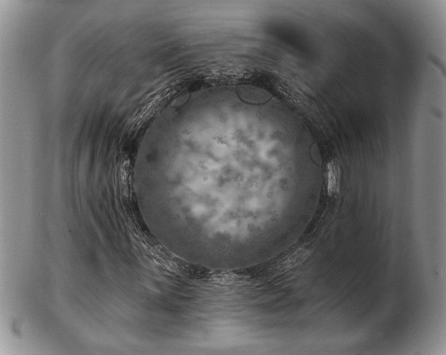 X0000103241059200808281436