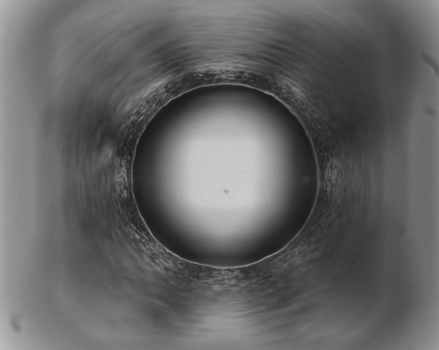 X0000103241062200808281436